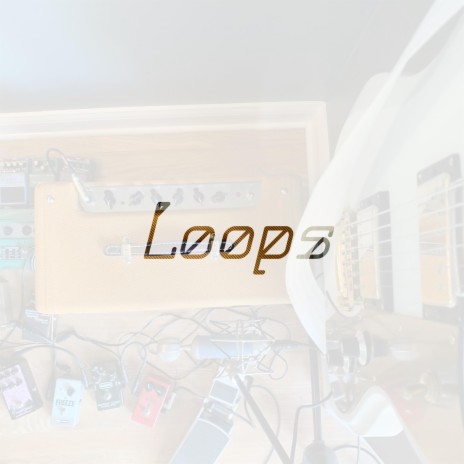 Loop 2011