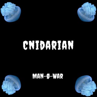 Cnidarian