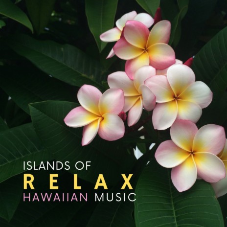 Aloha to the Sea | Boomplay Music