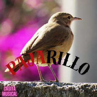 PAJARILLO