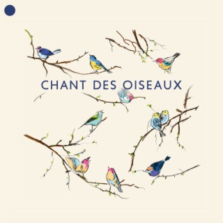 Académie de Musique des Oiseaux