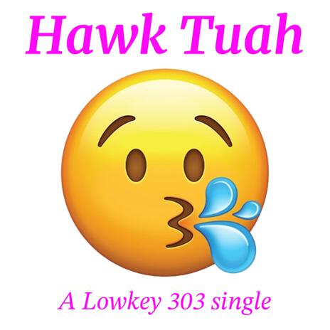 Hawk Tuah | Boomplay Music