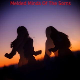 Melded Minds Of The Sorns