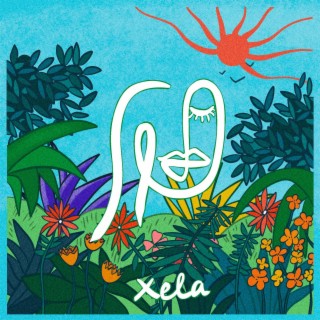 Xela lyrics | Boomplay Music