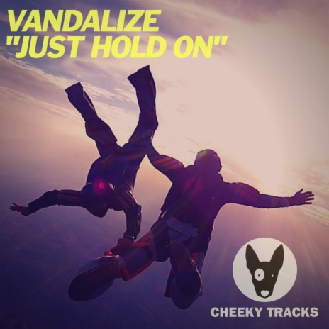 Just Hold On (Original Mix)