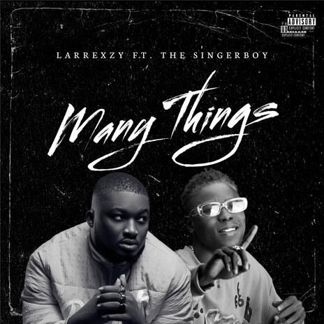 Many Things ft. The singerboy | Boomplay Music