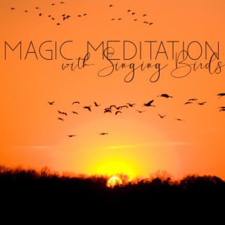 Magic Meditation with Singing Birds. New Age Music that Stimulates Fantasy