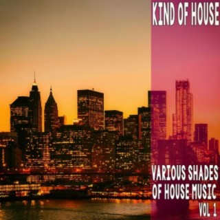 Kind of House, Vol. 1 - Various Shades of House Music