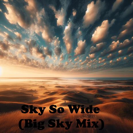 Sky So Wide (Big Sky Mix) | Boomplay Music