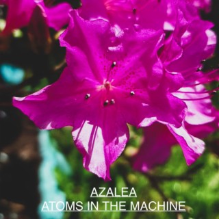Atoms in the Machine