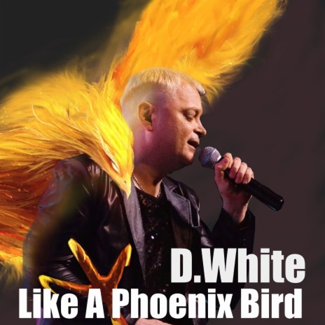 Like a Phoenix Bird | Boomplay Music