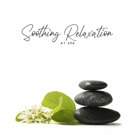 Soothing Spa Therapy