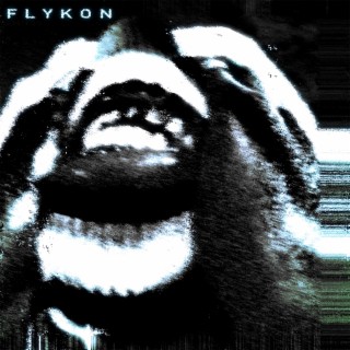 FLYKON: World of Fun