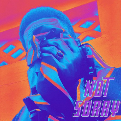 Not Sorry | Boomplay Music