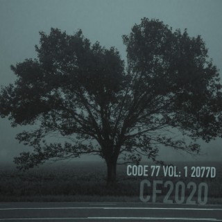 Code 77 Vol: 1 2077D