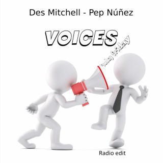 VOICES (Radio Edit)