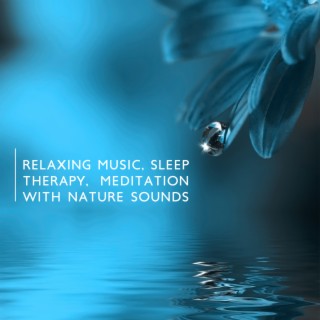 Relaxing Music, Sleep Therapy, Meditation with Nature Sounds: Peaceful Moment for Yourself. Clear Your Mind and Rest