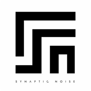 Synaptic Noise