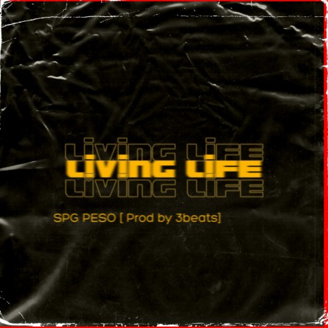 Living Life | Boomplay Music