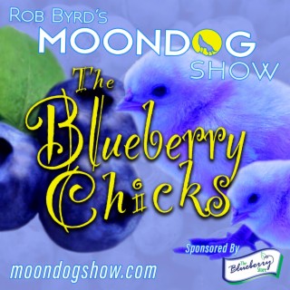 The Blueberry Chicks - Food Board Runoff