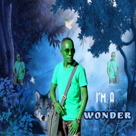 I'm a Wonder | Boomplay Music