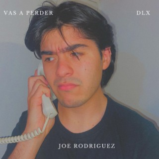 Vas a Perder! lyrics | Boomplay Music