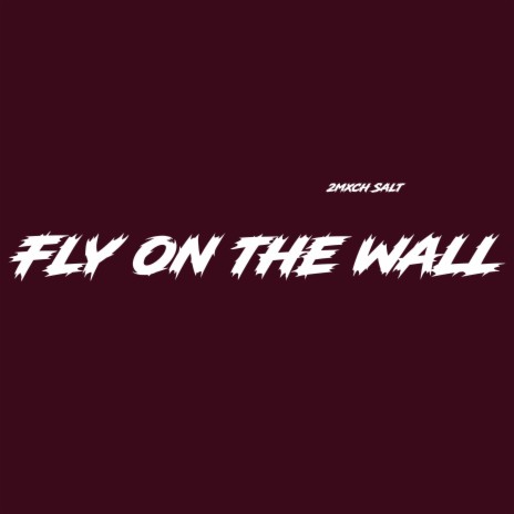 Fly on the wall