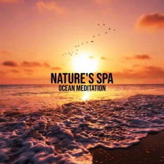 Nature's Spa - Ocean Meditation, Classical Indian Flute, Healing Massage, Relaxation in Peaceful Ambient Music