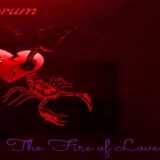 The Fire of Love