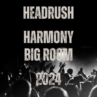 Headrush Harmony Big Room 2024