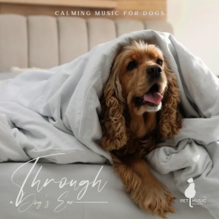 Calming Music for Dogs: Through a Dog's Ear, Peaceful Pet Music Therapy for Dog Anxiety, Sleeping Music for Dogs