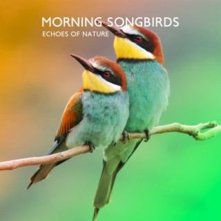 Morning Songbirds: Echoes of Nature, Asian Zen Spa Meditation Music, Yoga and Relaxation