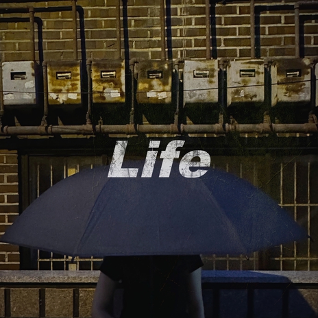 Life (feat. EIDO) | Boomplay Music