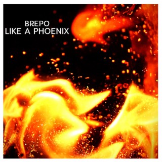 Like A Phoenix lyrics | Boomplay Music