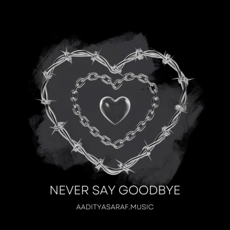 Never say goodbye | Boomplay Music