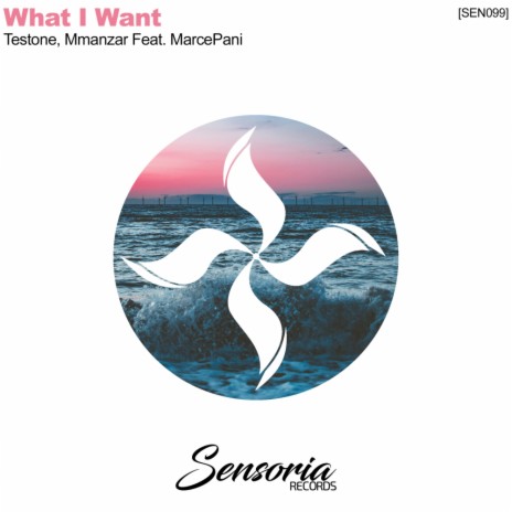What I Want (Original Mix) ft. Mmanzar & MarcePani