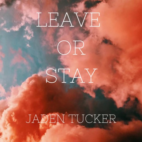 Leave Or Stay | Boomplay Music