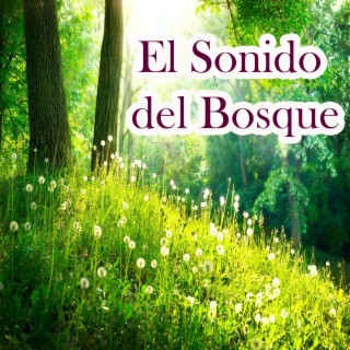 El Sonido del Bosque