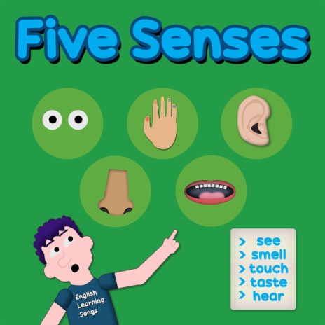Five Senses | Boomplay Music