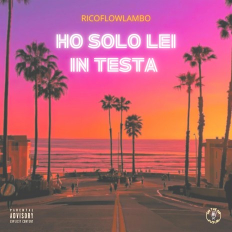 Ho Solo Lei In Testa | Boomplay Music