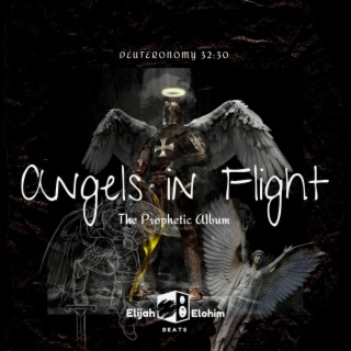 Angels in Flight