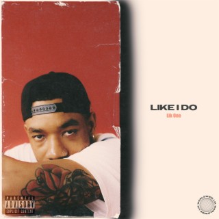 Like I Do lyrics | Boomplay Music