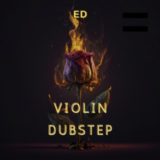 Violin Dubstep