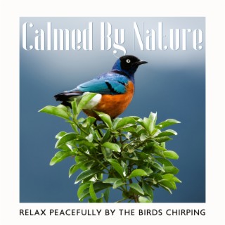 Calmed By Nature: Relax Peacefully By the Birds Chirping - Relaxing Bird Sounds