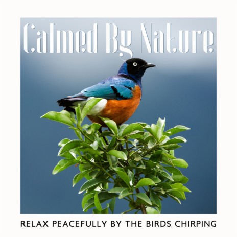 Happy Chirping ft. Relaxation New Age Melodies