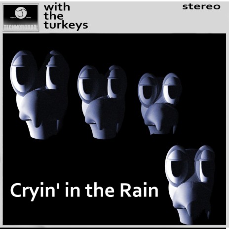 Cryin In The Rain | Boomplay Music