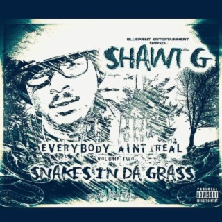 Snakes In Da Grass