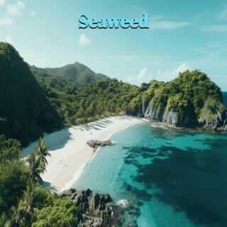 Seaweed