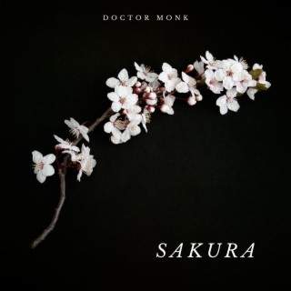 Doctor Monk