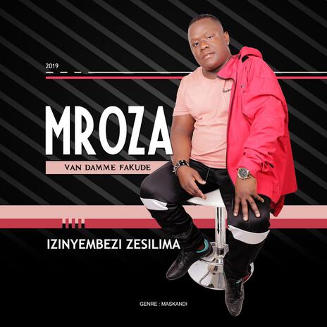 Izinyembezi Zesilima | Boomplay Music